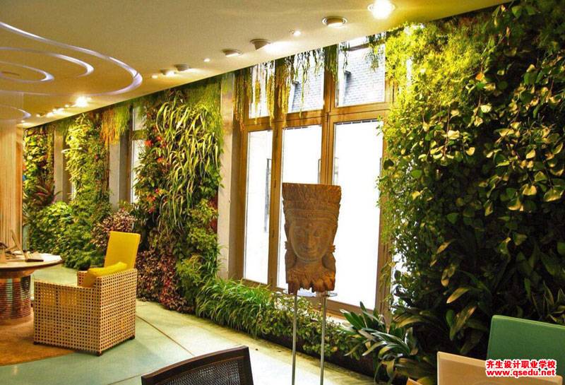 室内绿化植物摆放在哪些地方？有哪些布置方法？